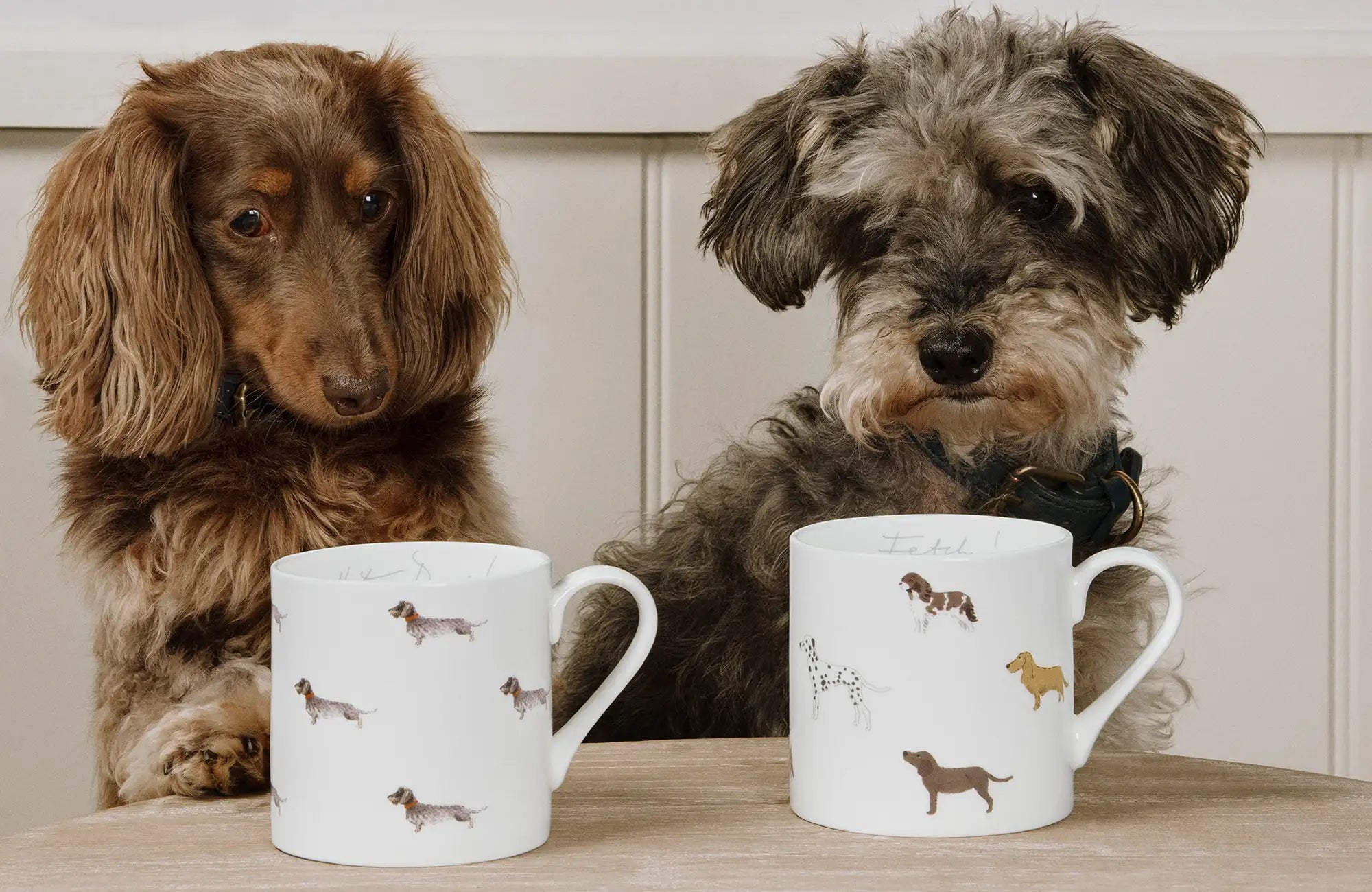 http://www.sophieallport.com/cdn/shop/articles/best-mugs-for-coffee.webp?v=1665153909