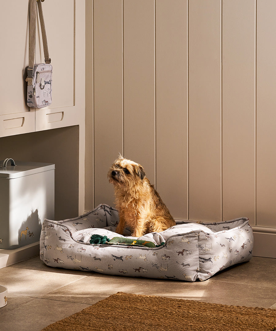 Pet Designs & Patterns | Sophie Allport