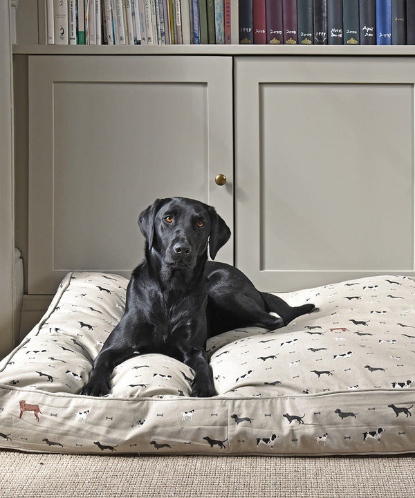 Woof design