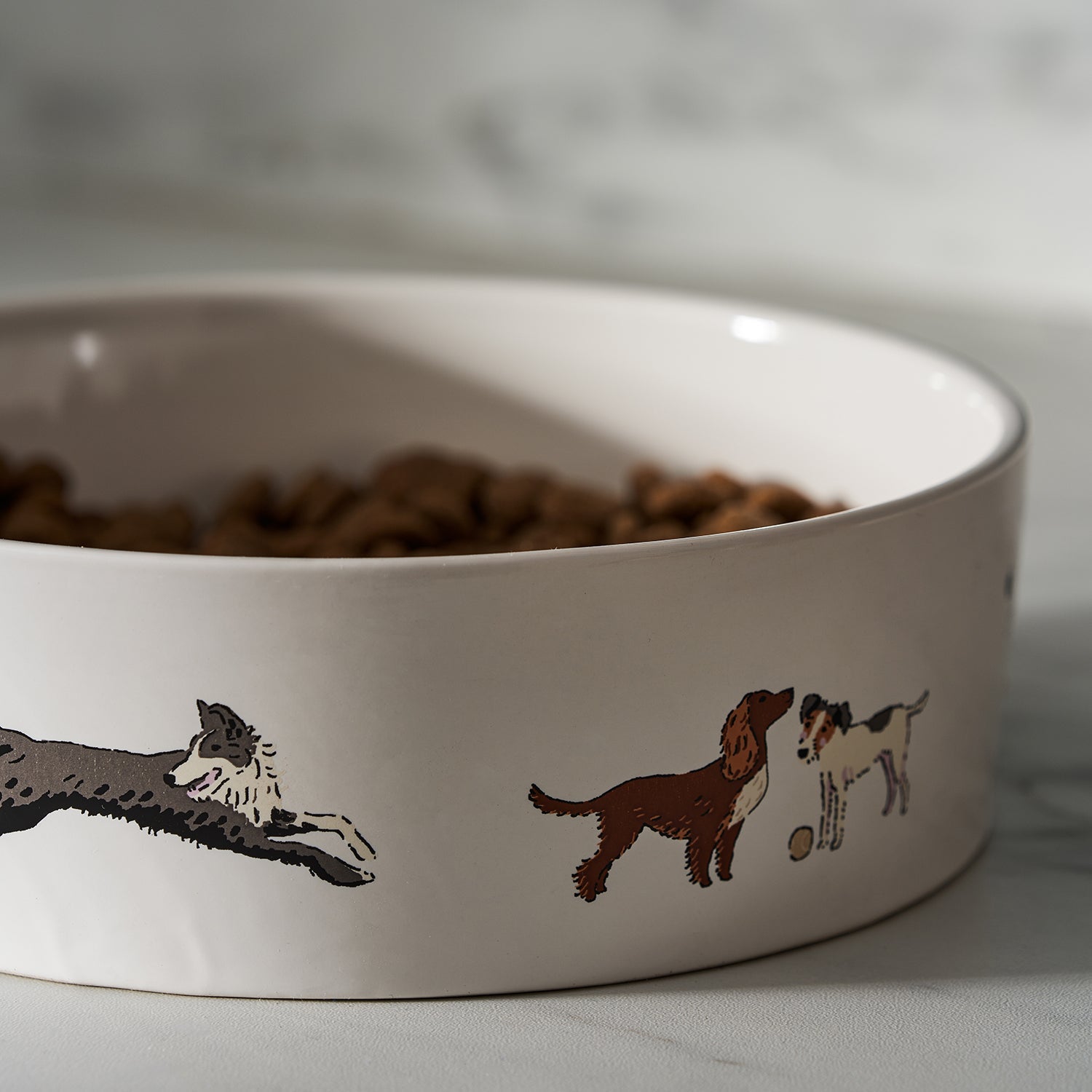 Doggy Daycare Stoneware Dog Bowl - Main Image