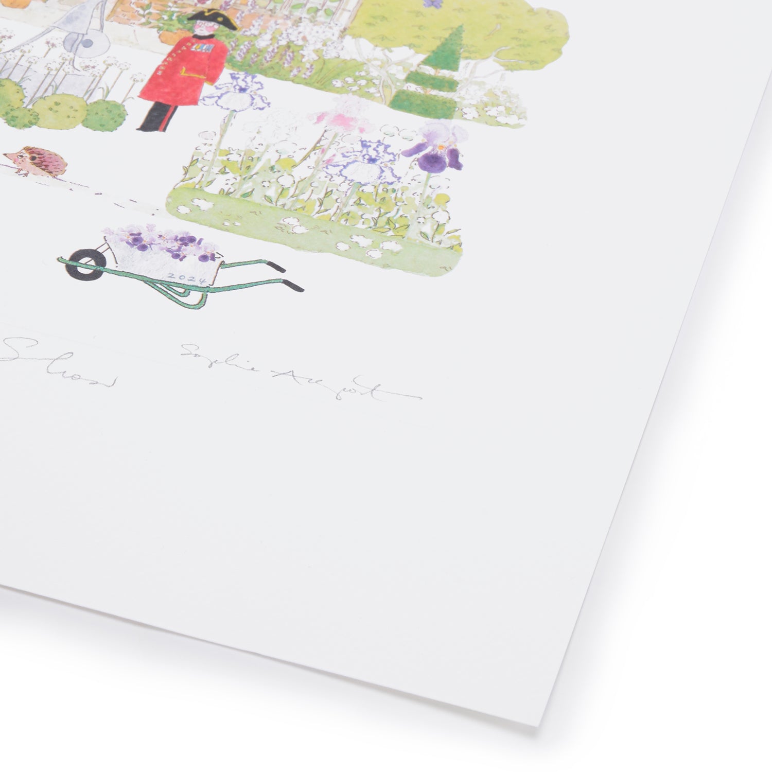 Chelsea Flower Show Print (2024)