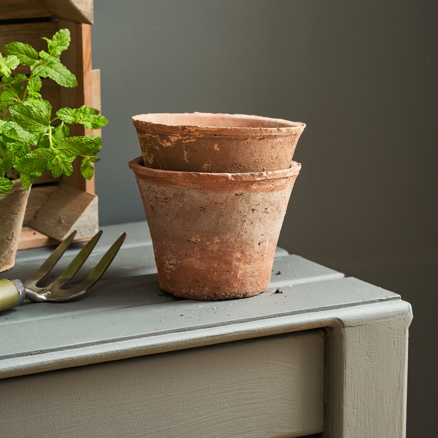 rustic clay plant pots Aged Terracotta Pot