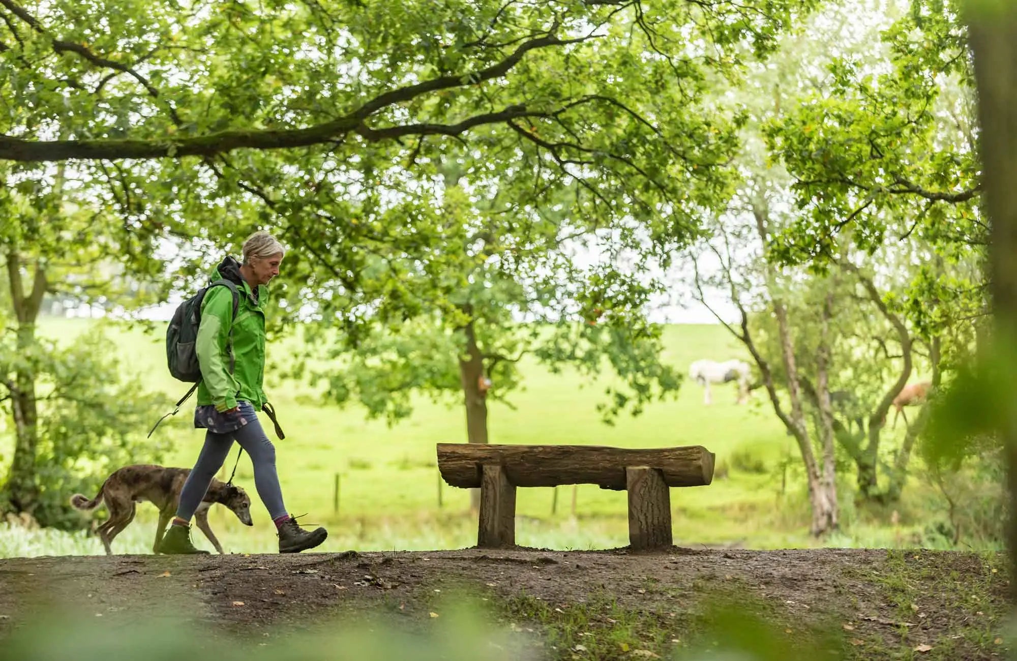 Step outdoors: 7 benefits of woodland walking