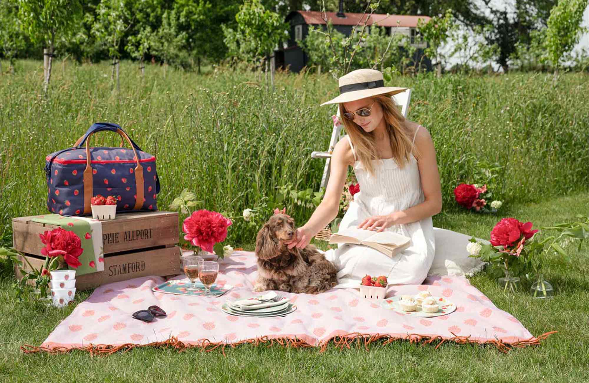 6 Must-Have Picnic Accessories For This Summer
