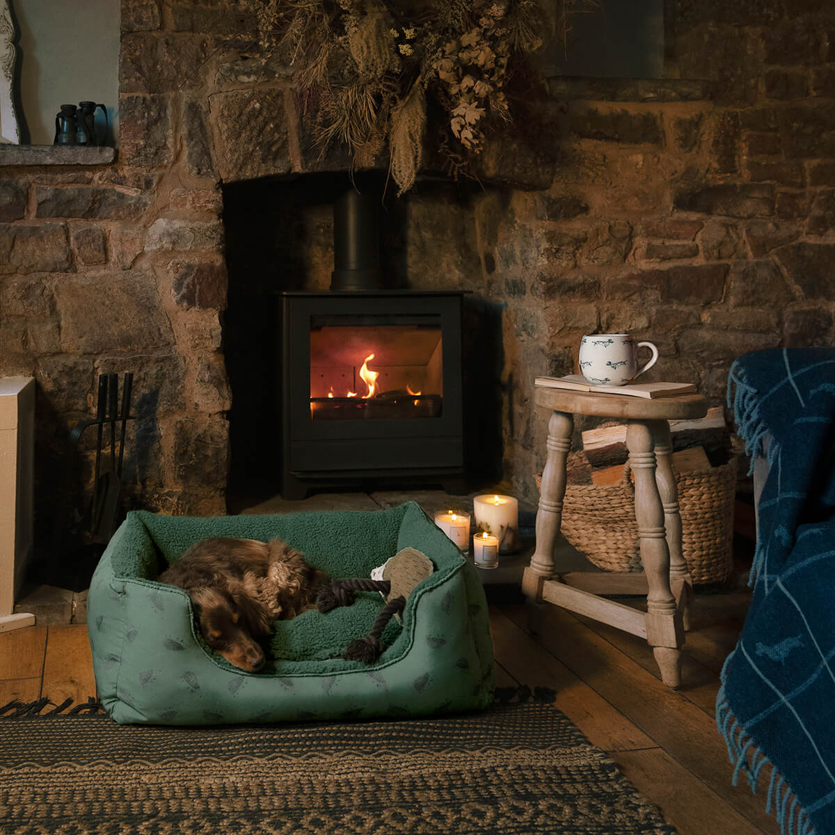 Firework tips for your dog