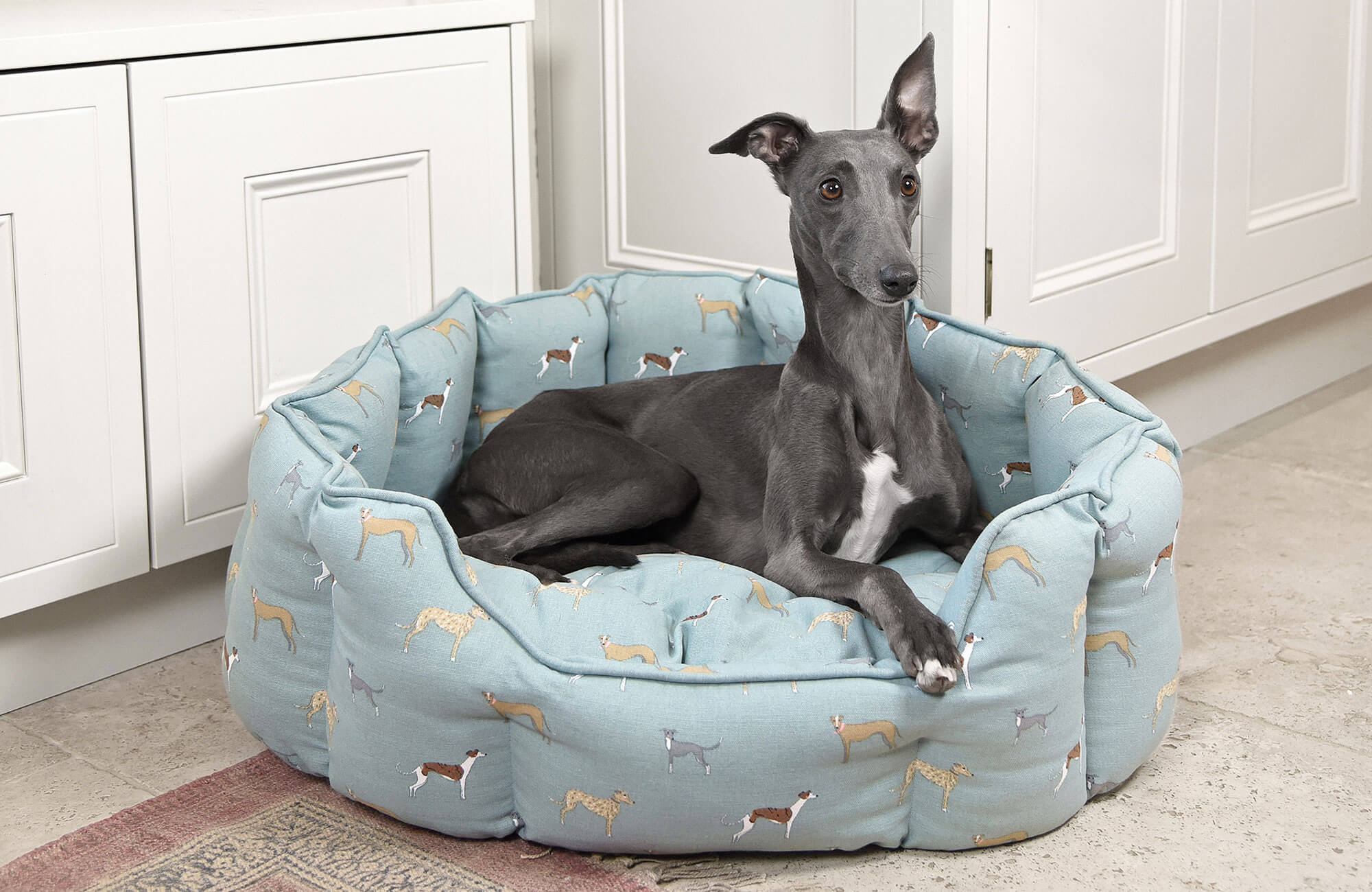 About lurchers, whippers and greyhounds