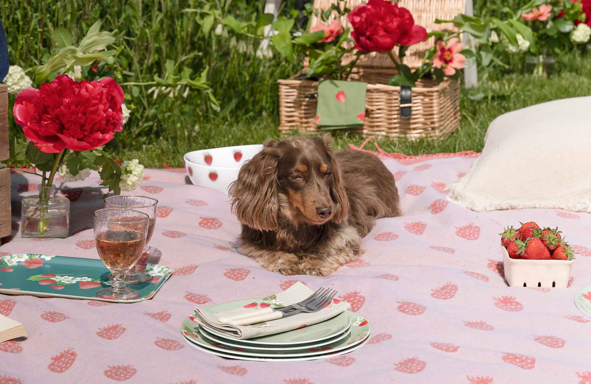 As seen on ITV's This Morning - Best Picnic Accessories