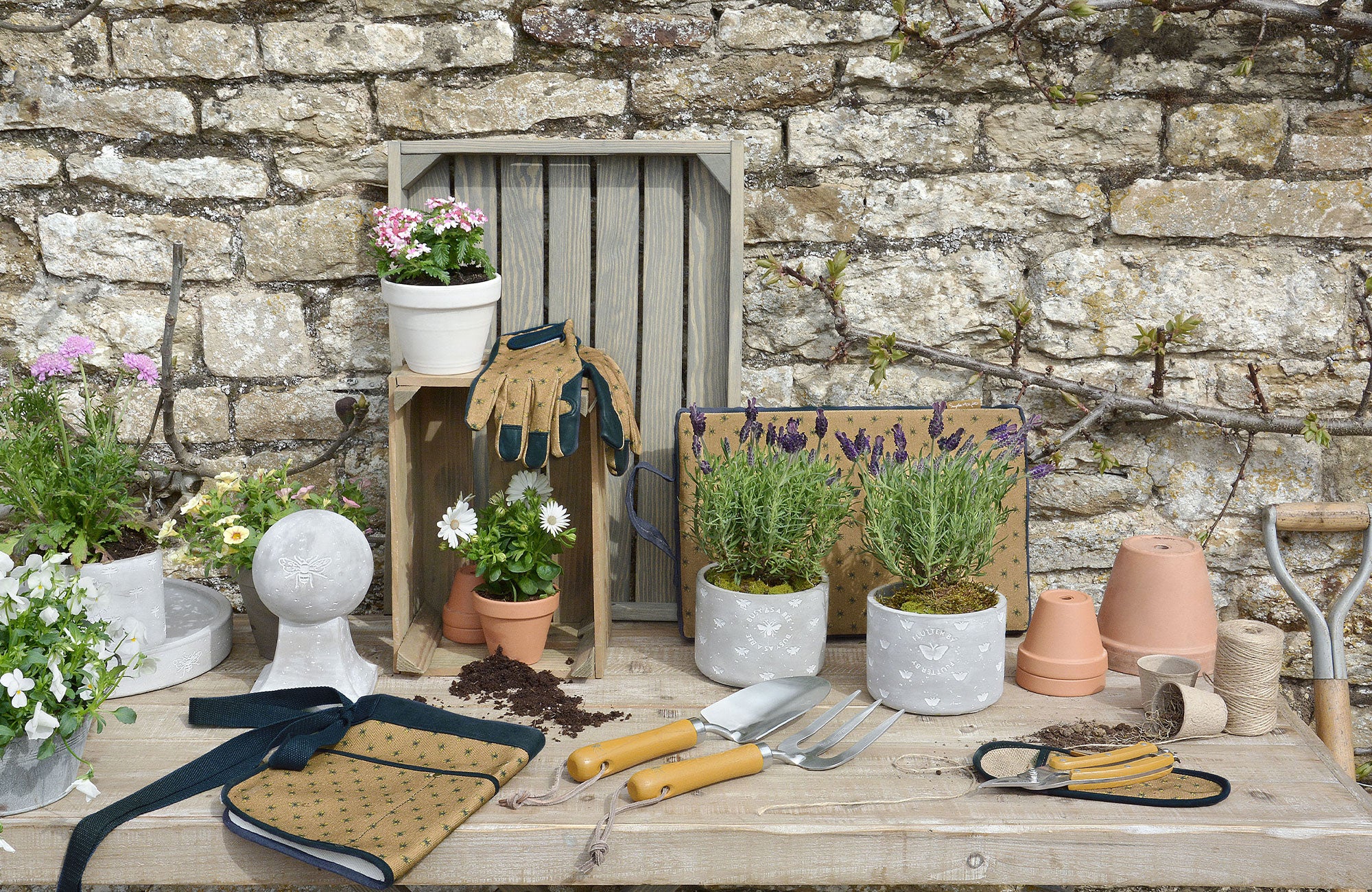 Top Tips for Growing Summer Flowers
