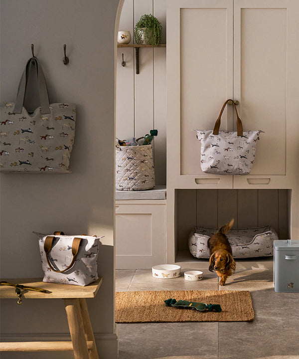 Doggy Daycare design