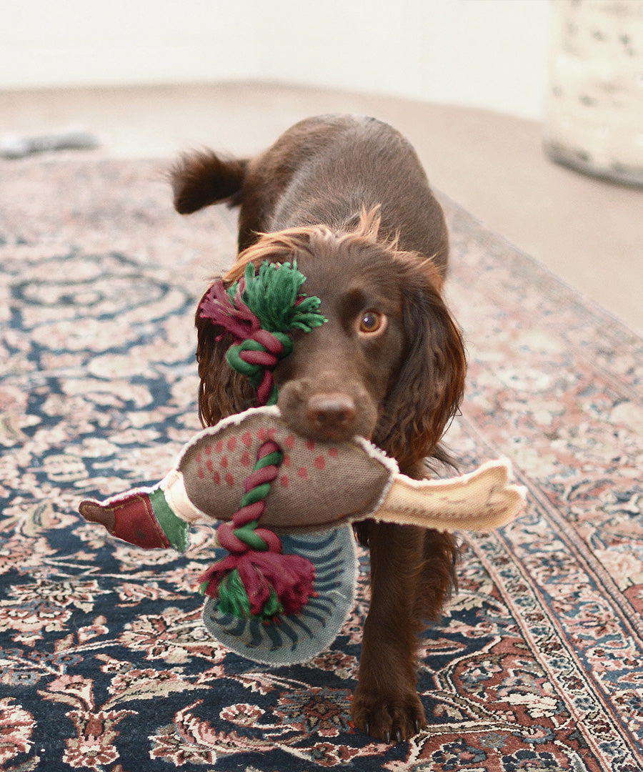 Dog Toys
