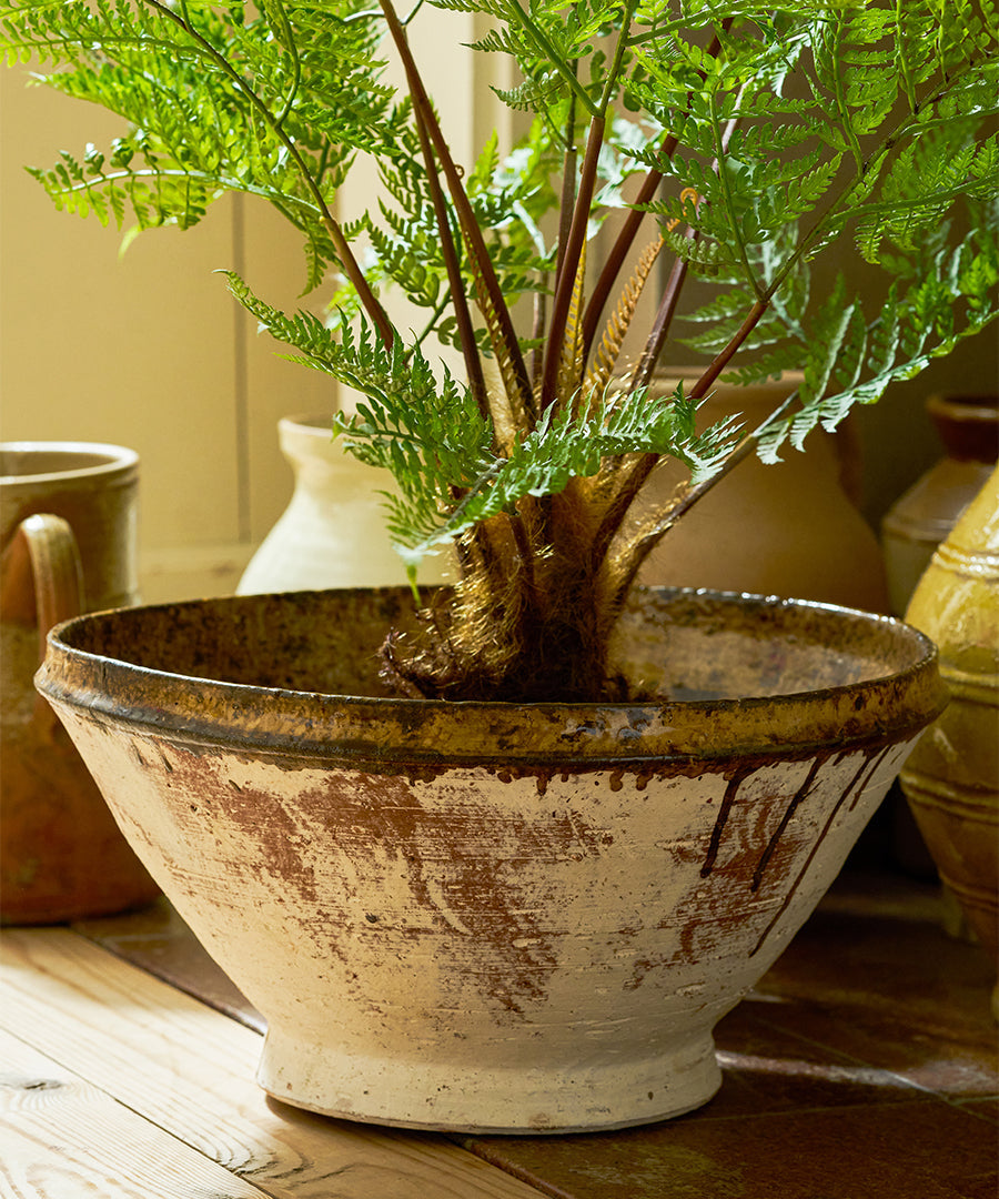 Garden Accessories