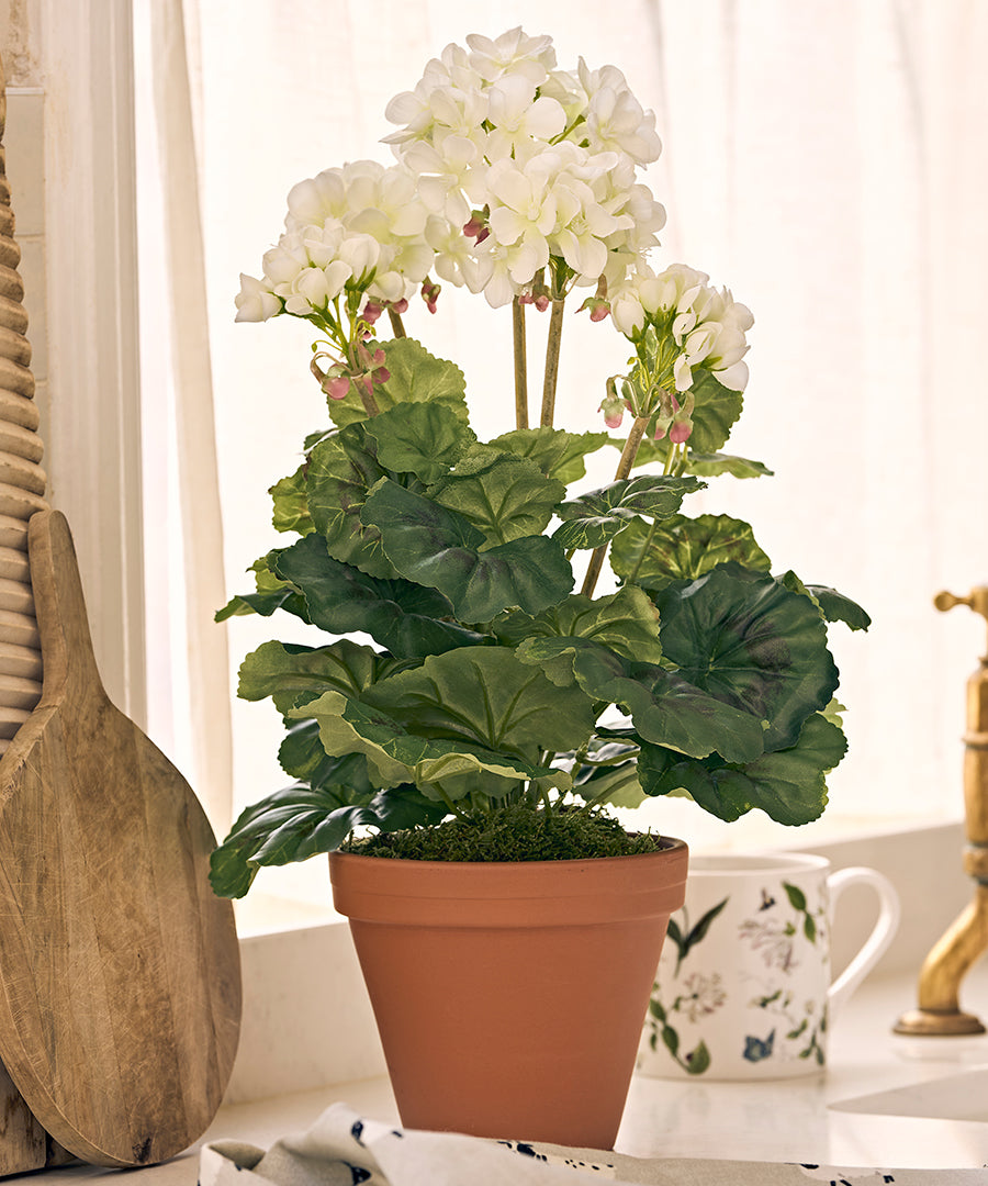 Gifts for Grandparents