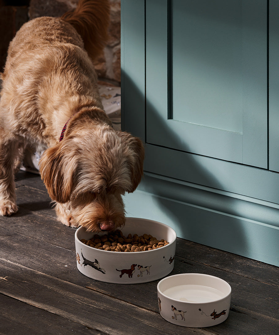Pet Bowls & Pet Food Storage
