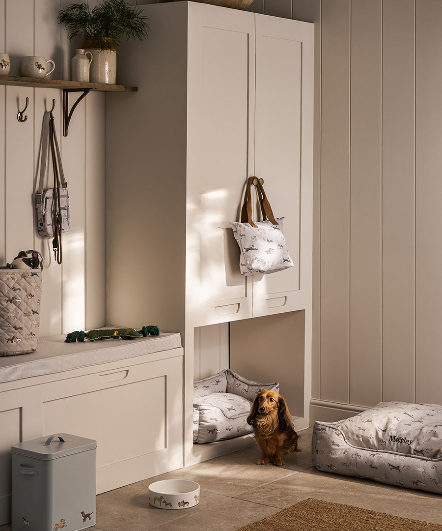 Pets Essentials & Gifts