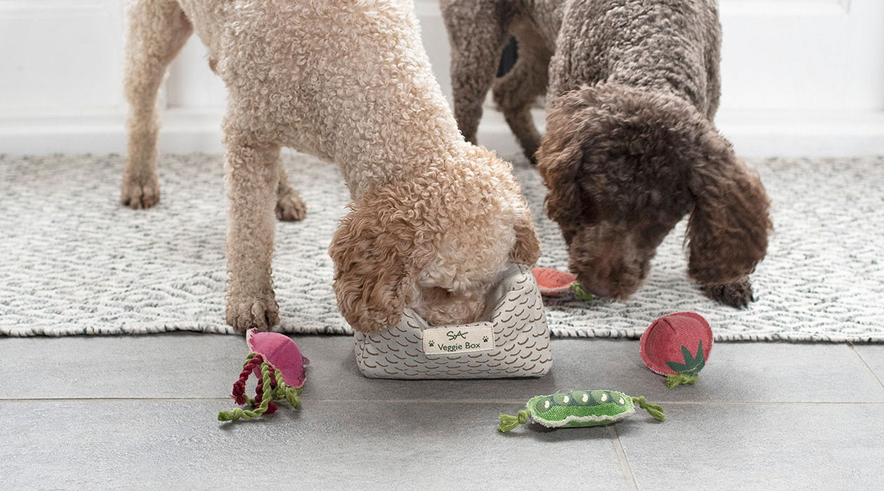 Gifts for Pets by Sophie Allport