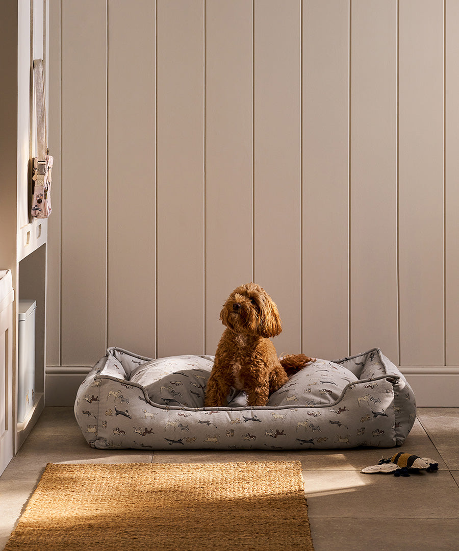 Pet Designs