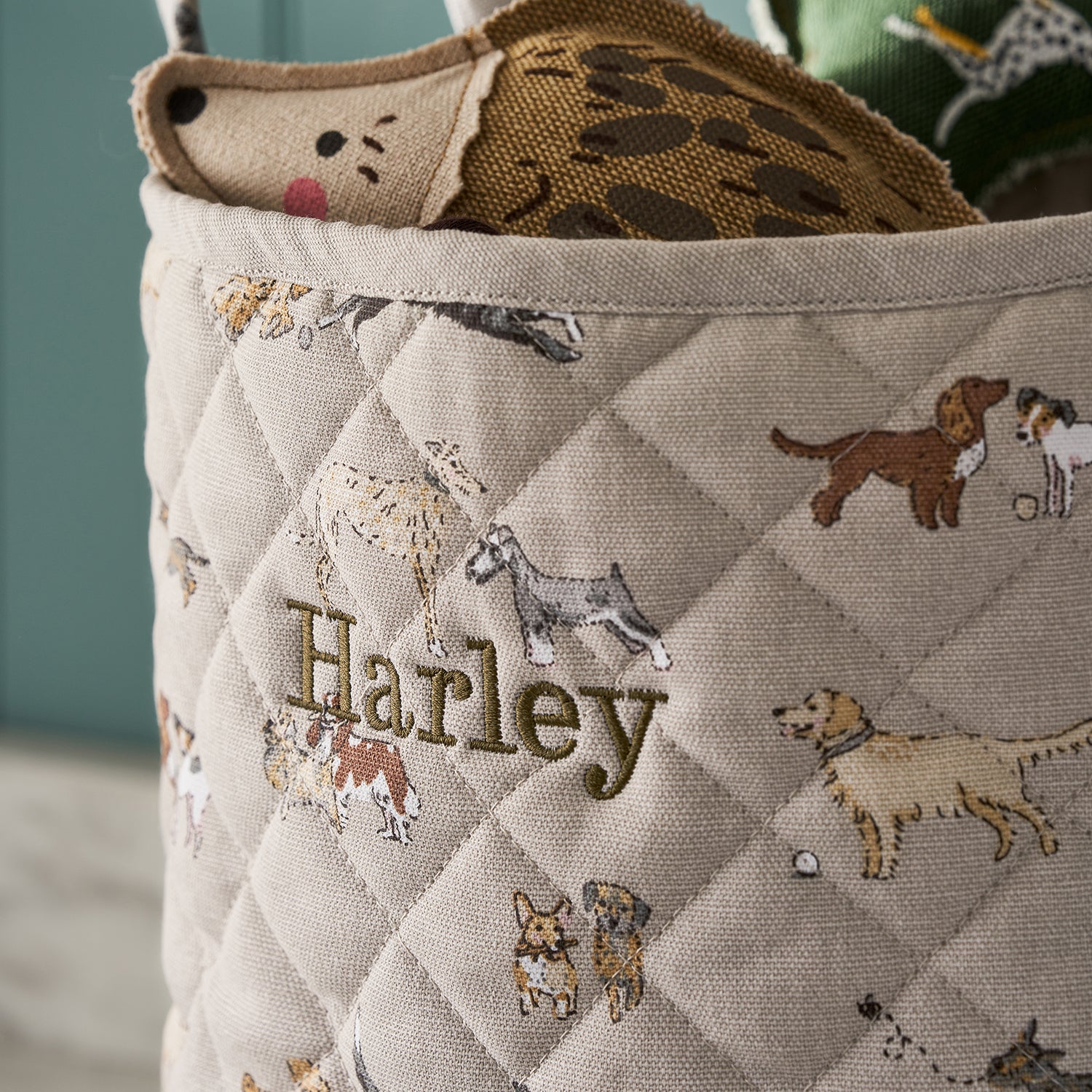 Doggy Daycare Storage Basket