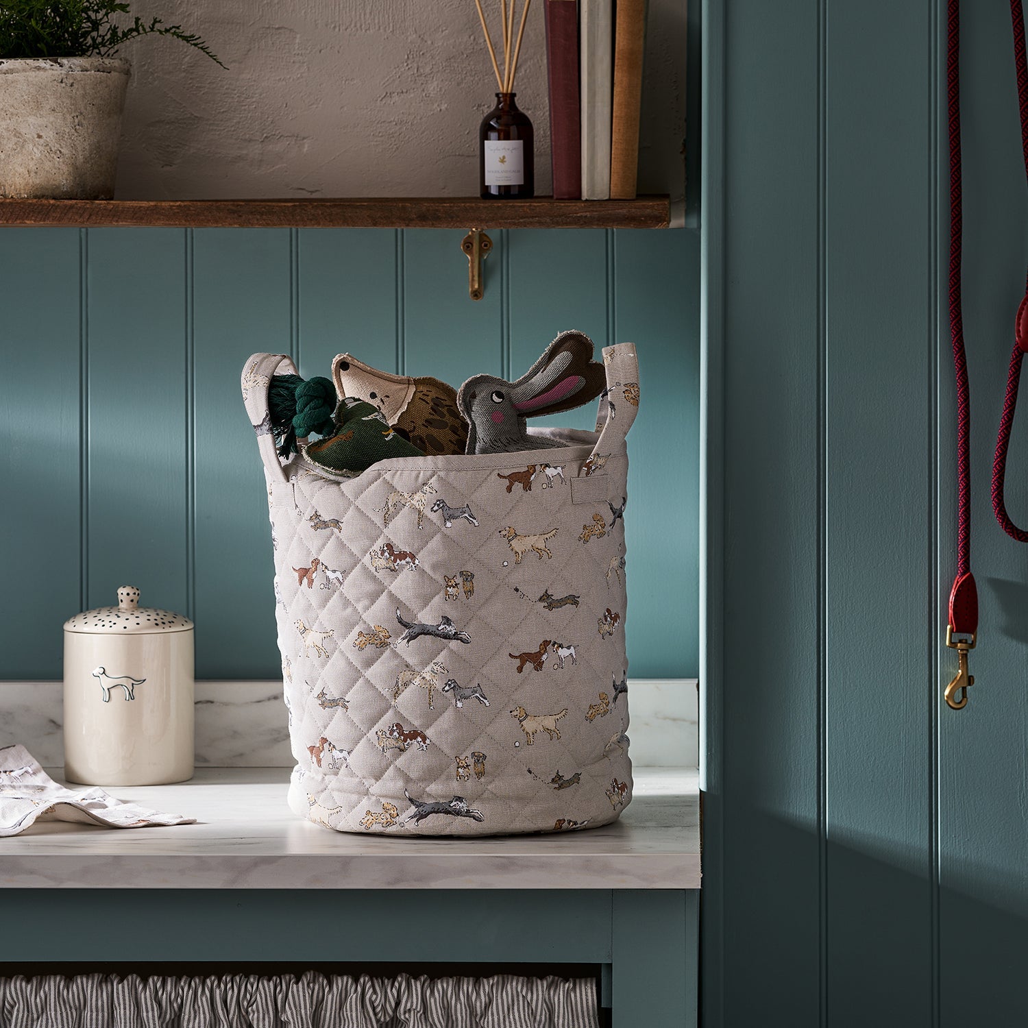 Doggy Daycare Storage Basket by Sophie  Allport