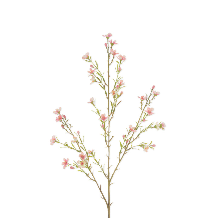 Faux Scabiosa by Sophie Allport