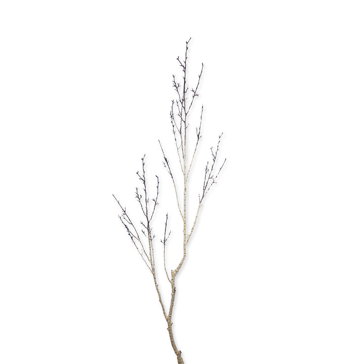 Faux Silver Birch Branch