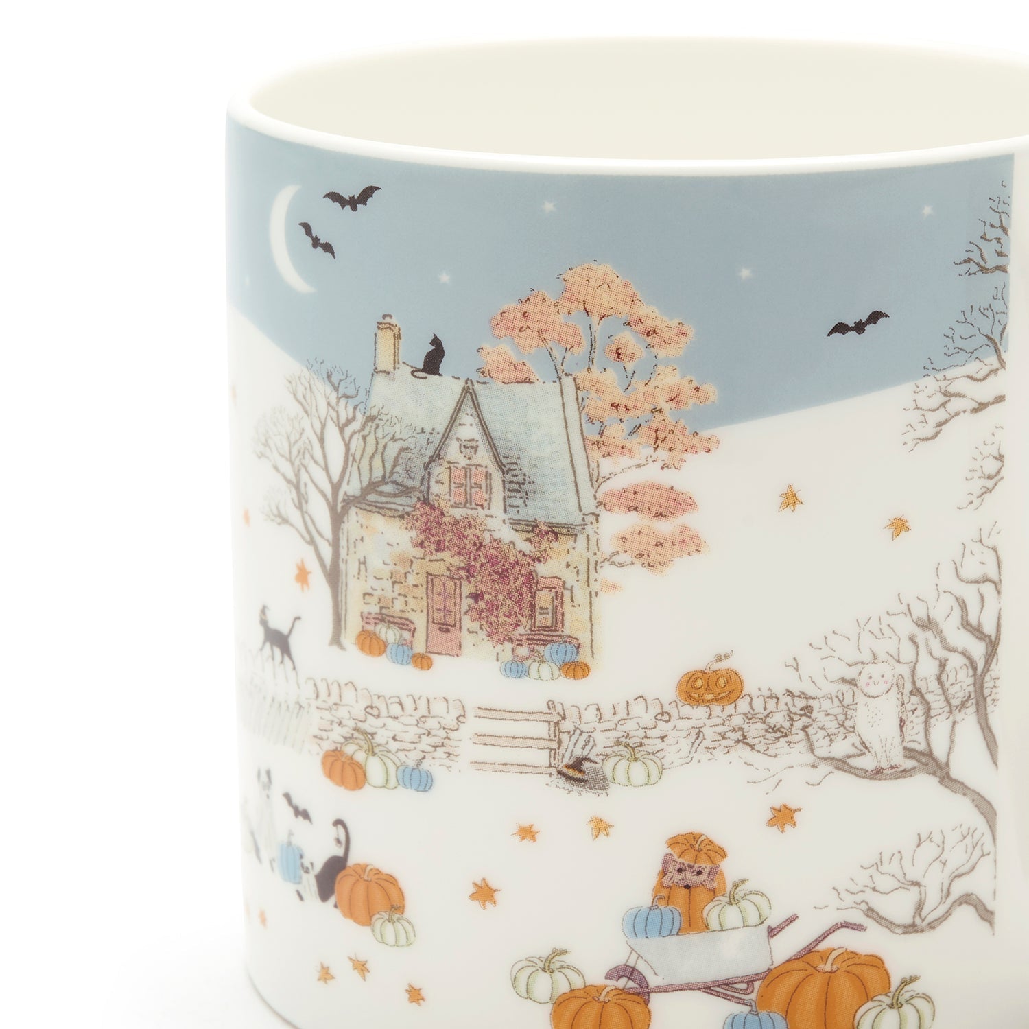 Paws & Pumpkins Mug