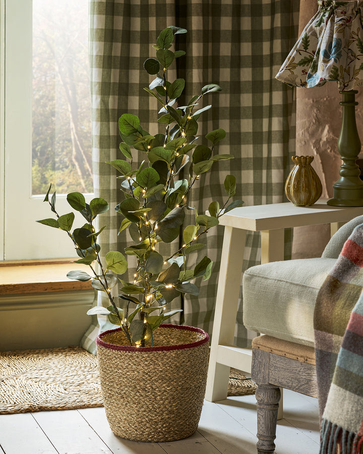 Pre-lit Eucalyptus Tree