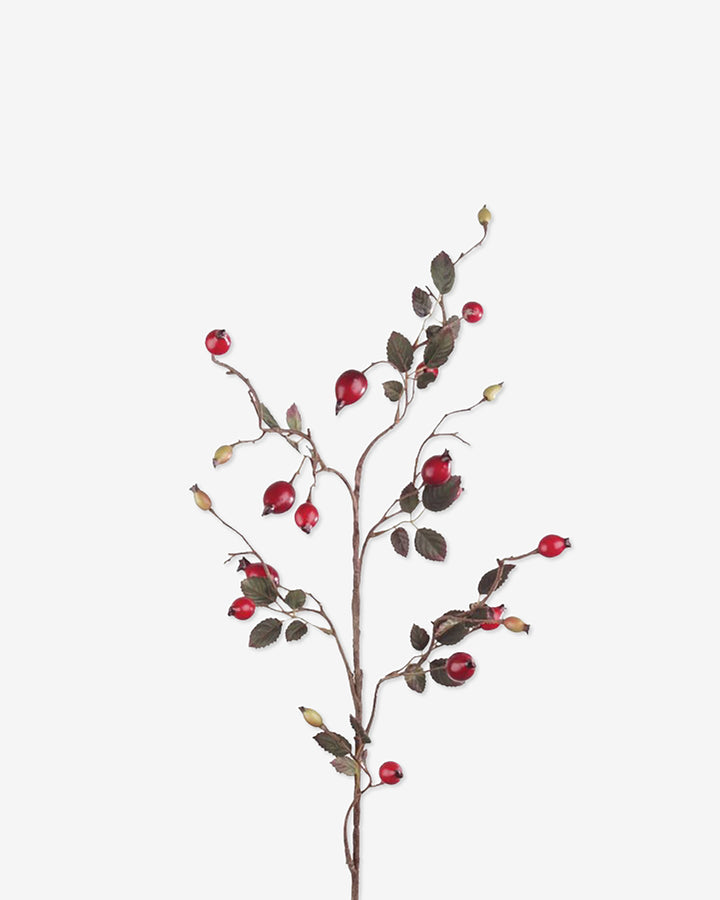 Faux Rosehip Spray