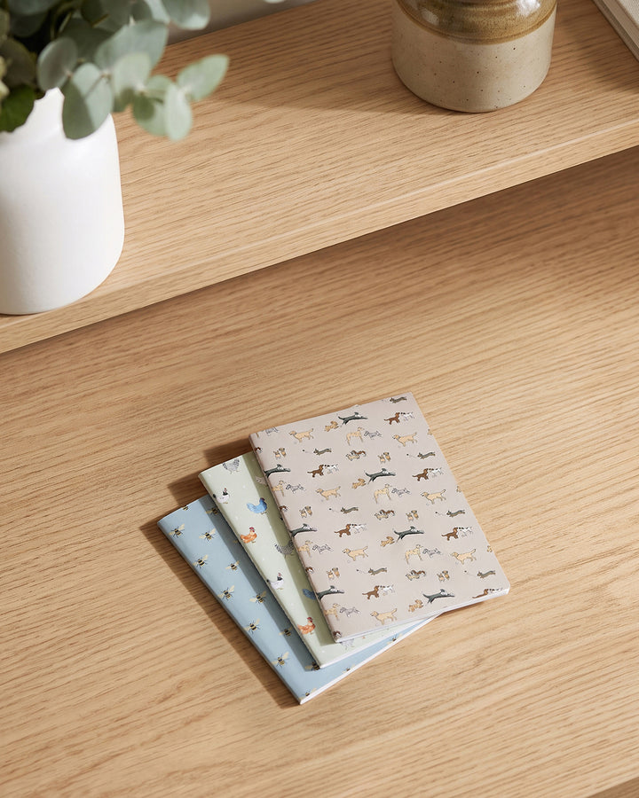 Signature A6 Notebooks (Set of 3)