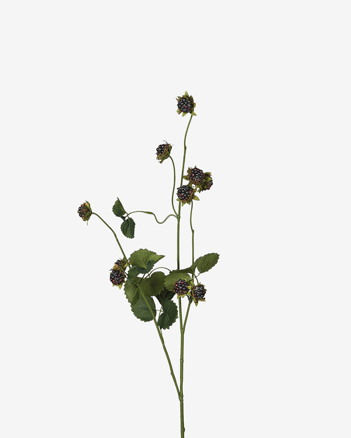 Faux Wild Blackberry