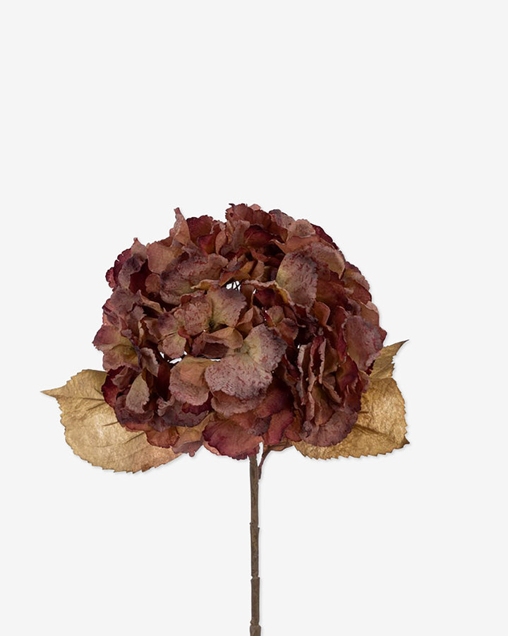 Faux Dried Hydrangea - Brown