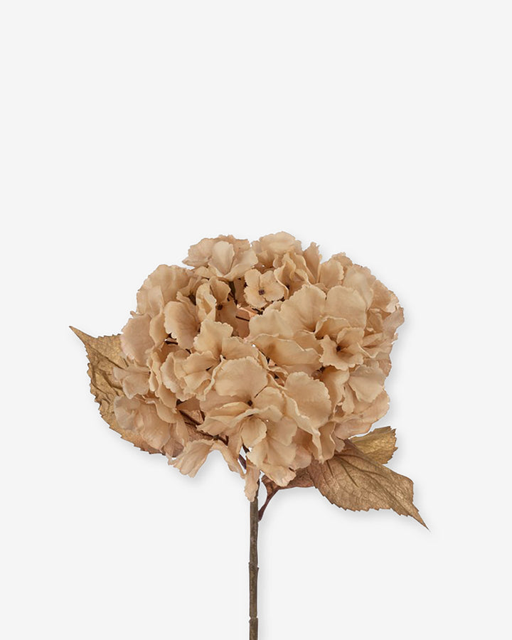 Faux Dried Hydrangea - Light Brown