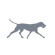 Tails & Trails icon
