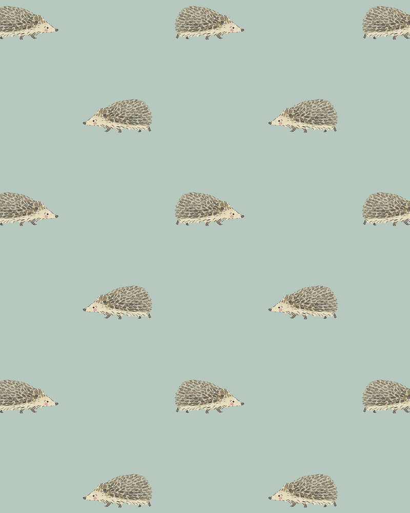 Hedgehogs