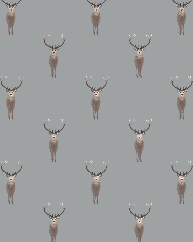 Highland Stag