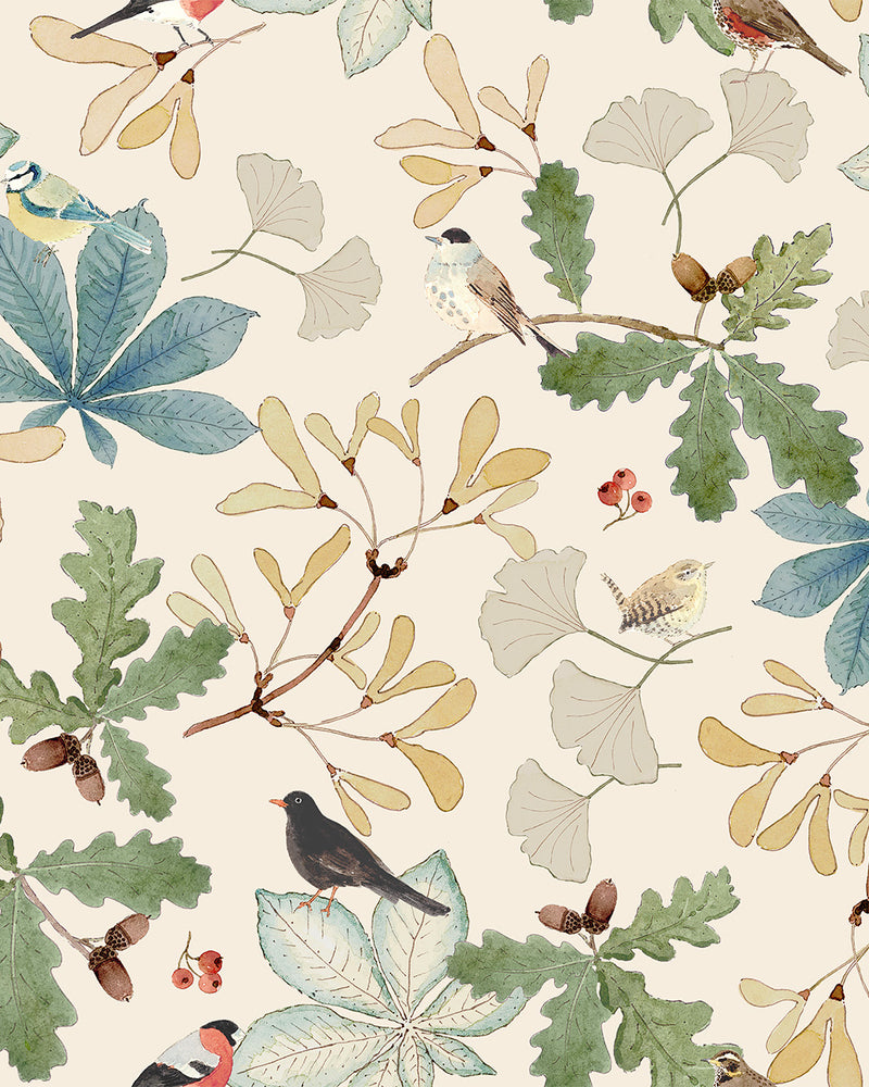 Orchard Birds