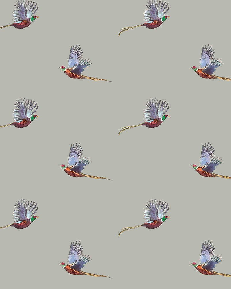 Pheasant