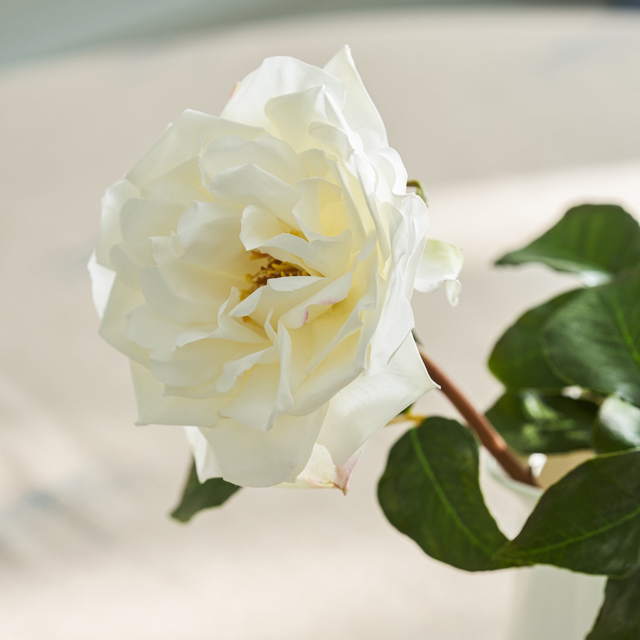 Faux Garden Rose - White