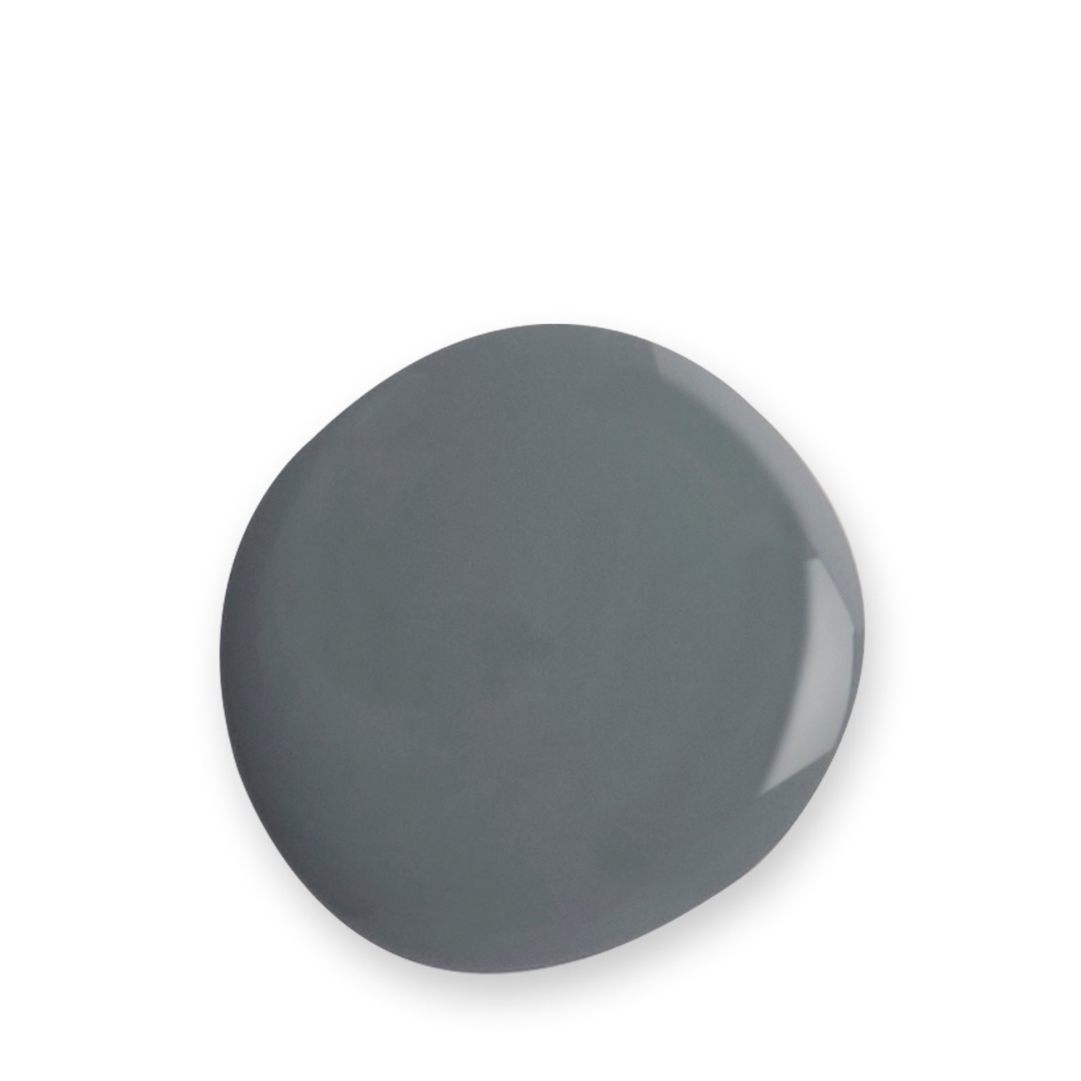 Charcoal paint by Sophie Allport swatch
