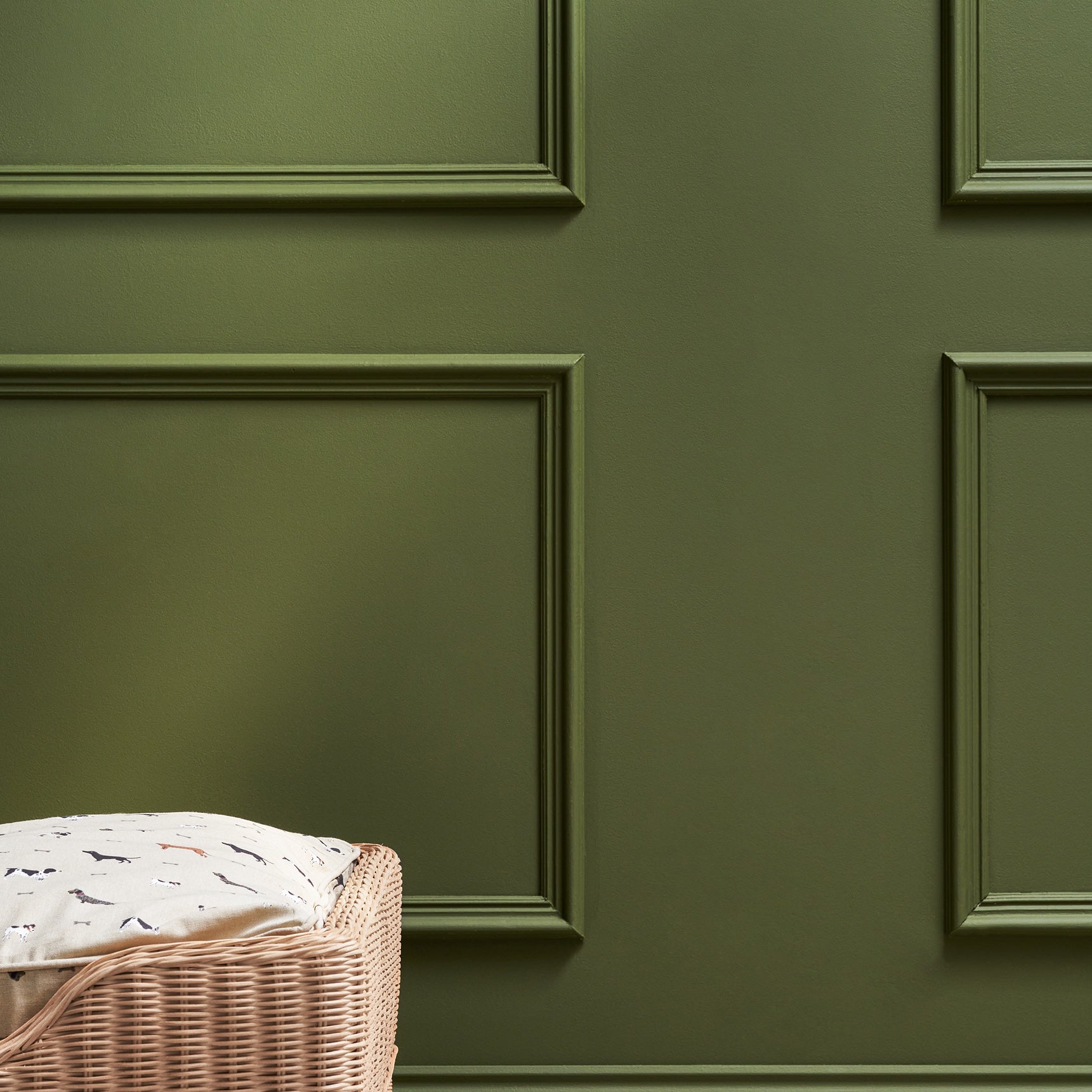 Rich khaki green paint by Sophie Allport detail