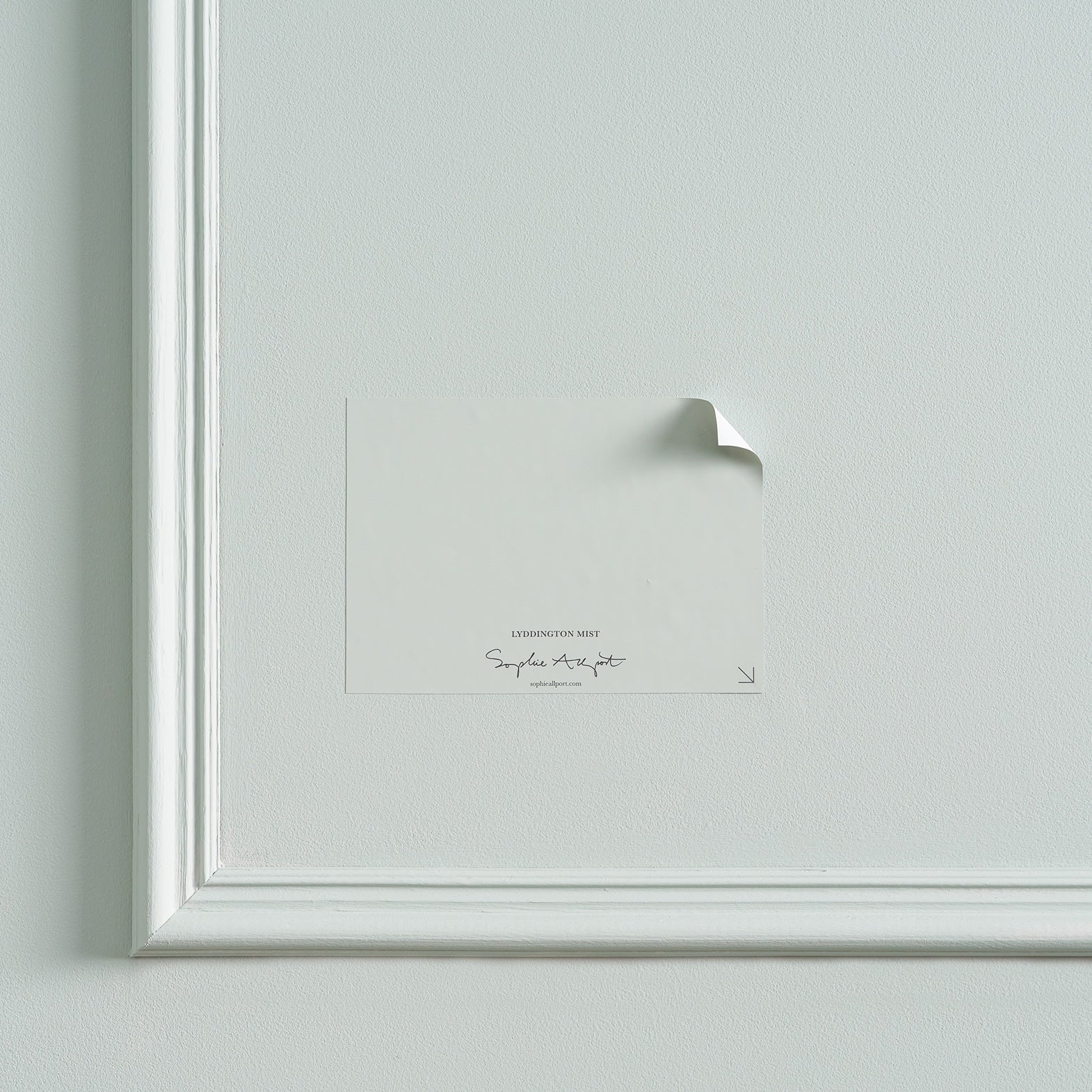 Lyddington Mist Paint Sample by Sophie Allport