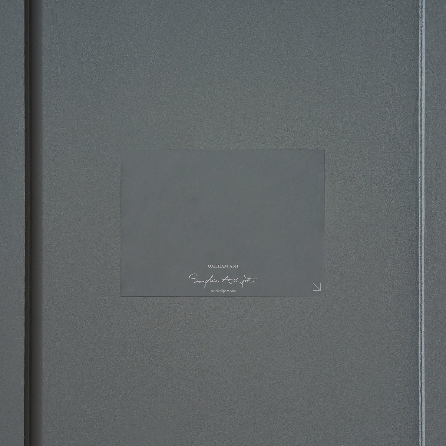 Oakham Ash Paint Sample by Sophie Allport