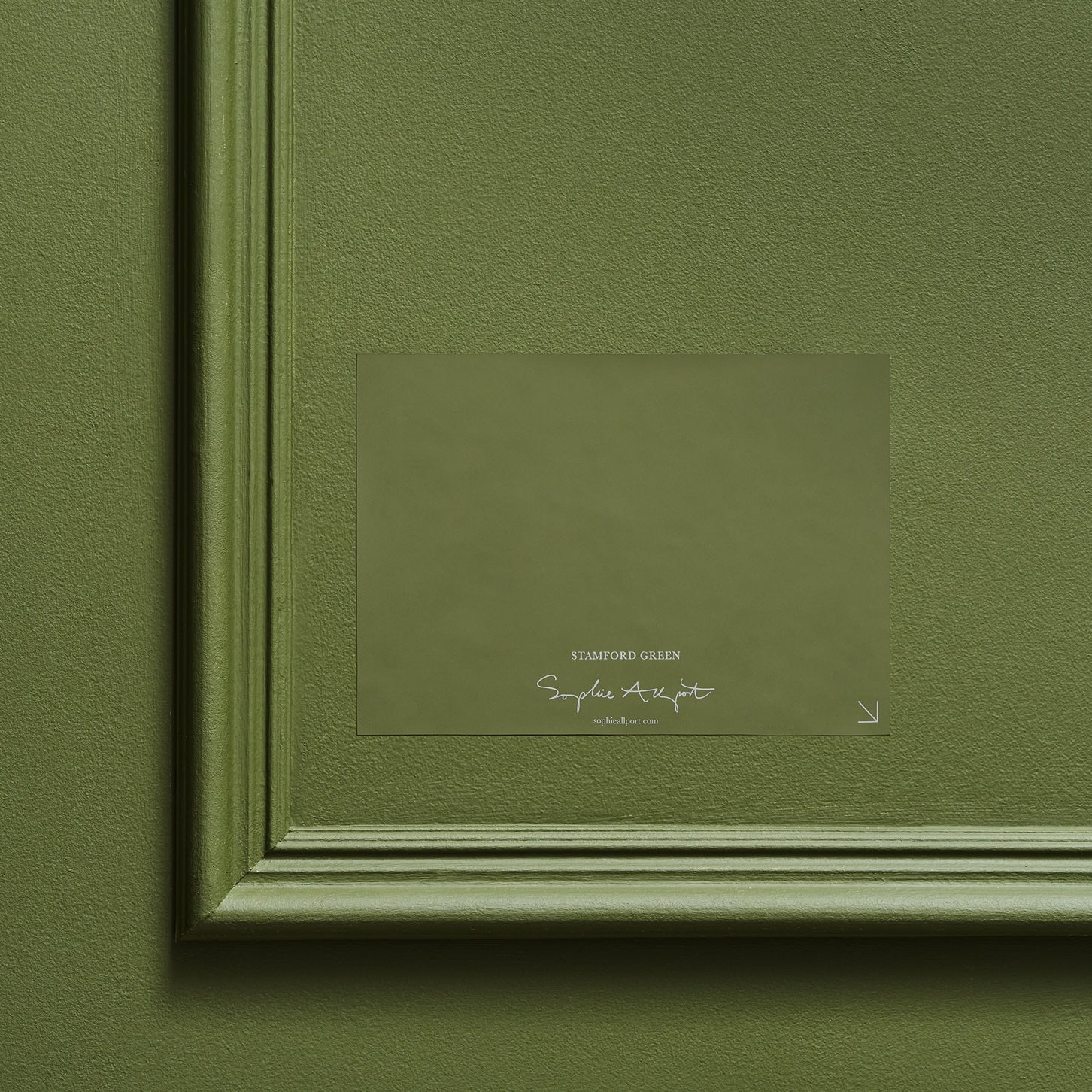 Soft Green Paint Sample
