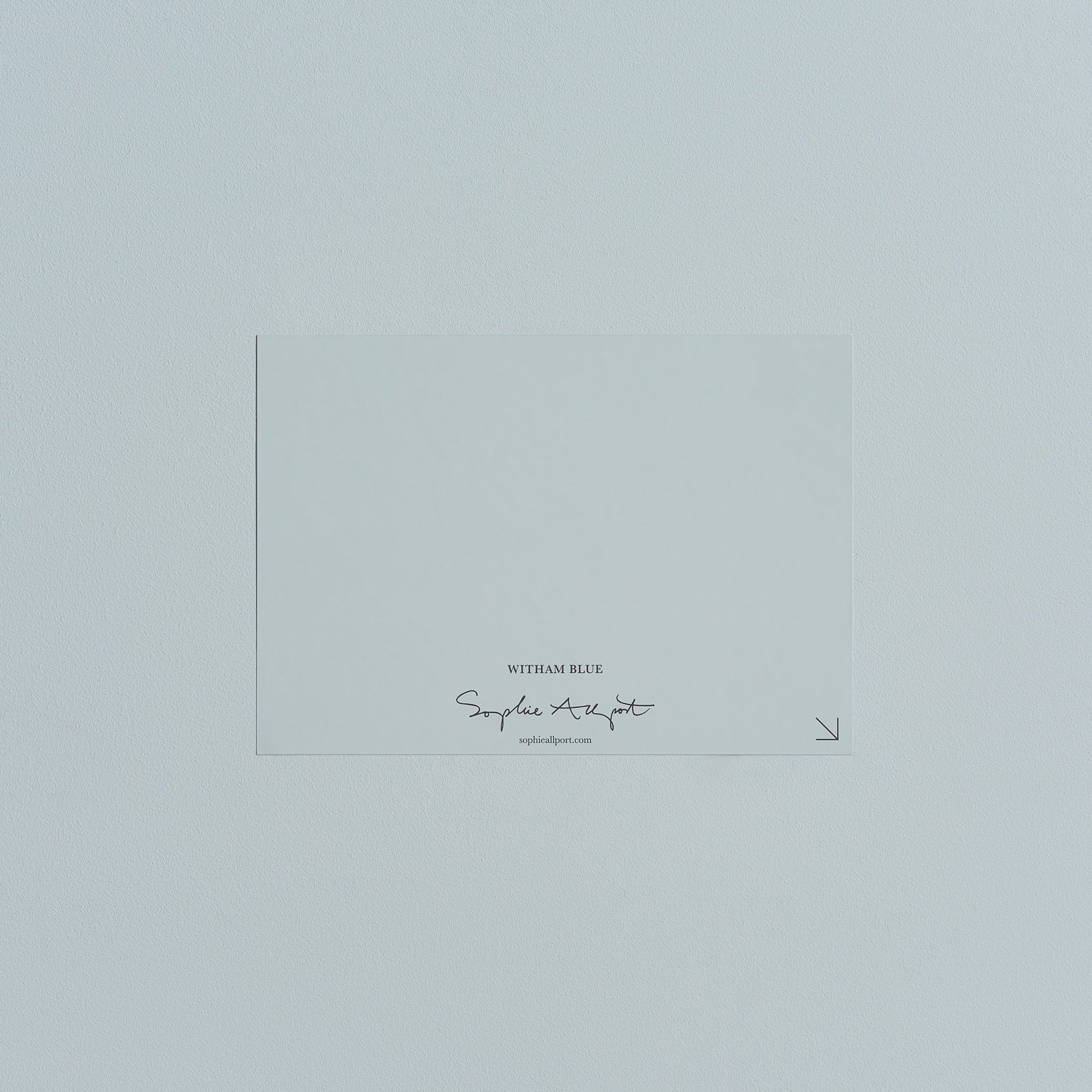 Witham Blue Paint Sample by Sophie Allport