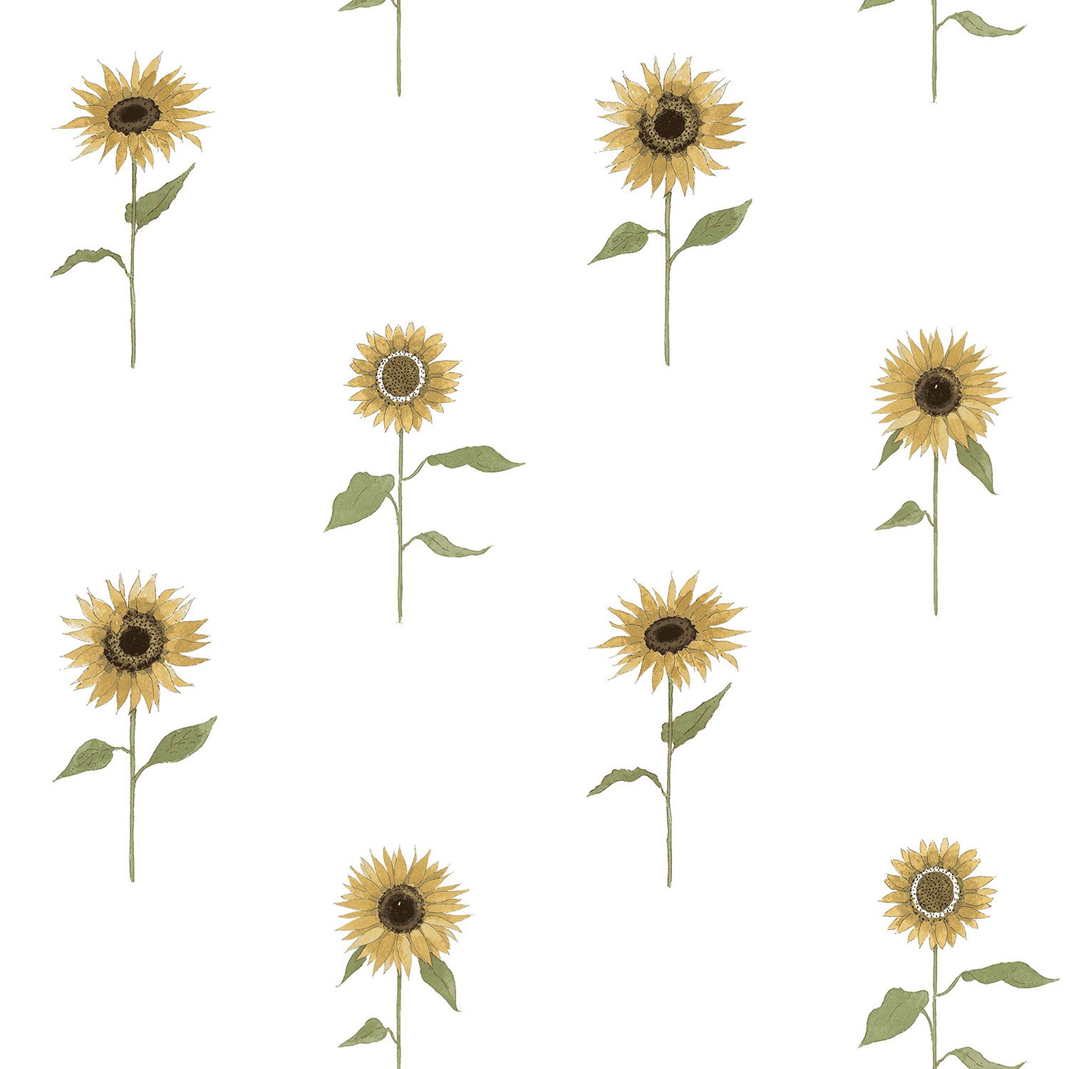 Sunflowers White Curtains/Roman Blind Sample
