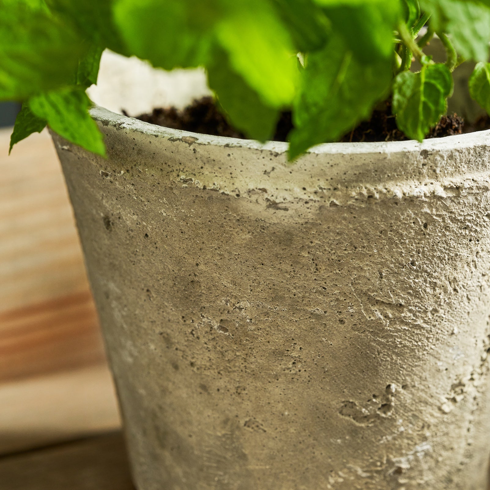 Aged Stone Terracotta Pot by Sophie Allport