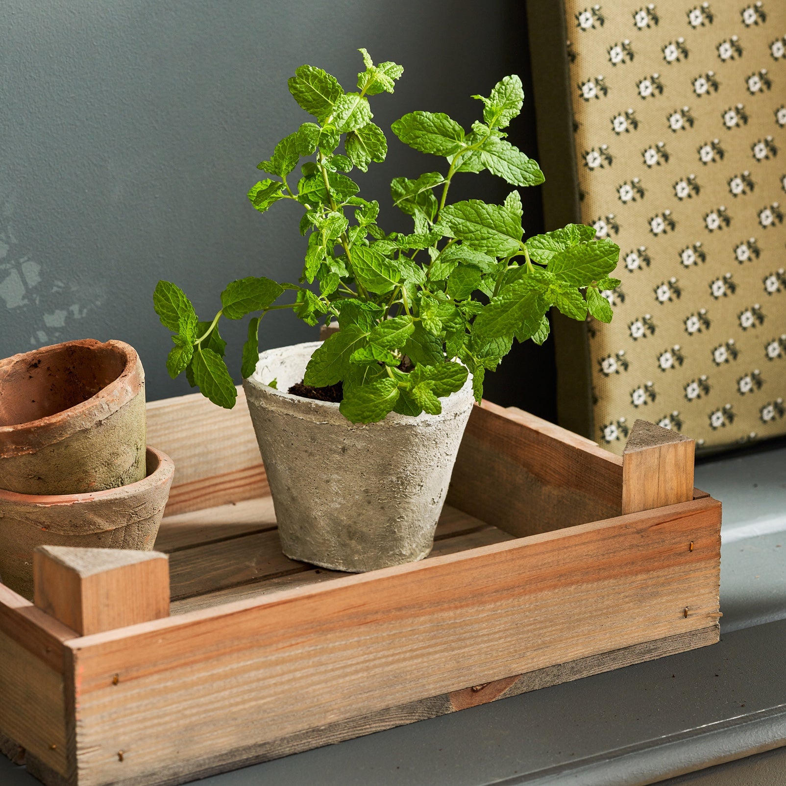 Aged Stone Terracotta Pot by Sophie Allport