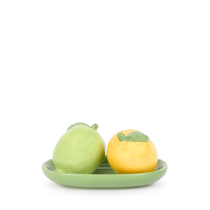 Lemon & Lime Salt & Pepper Shakers