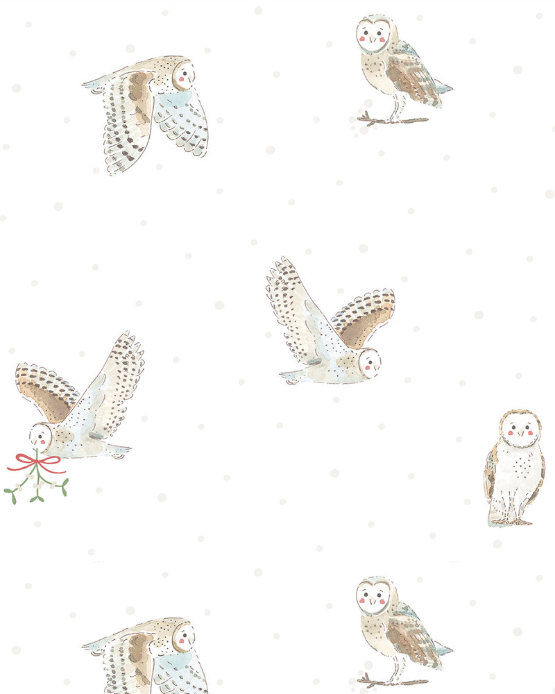 Snowy Owls