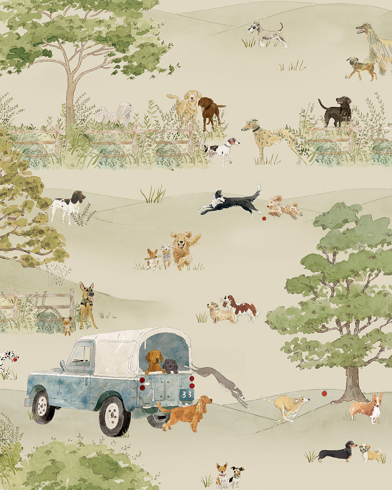 Tails & Trails