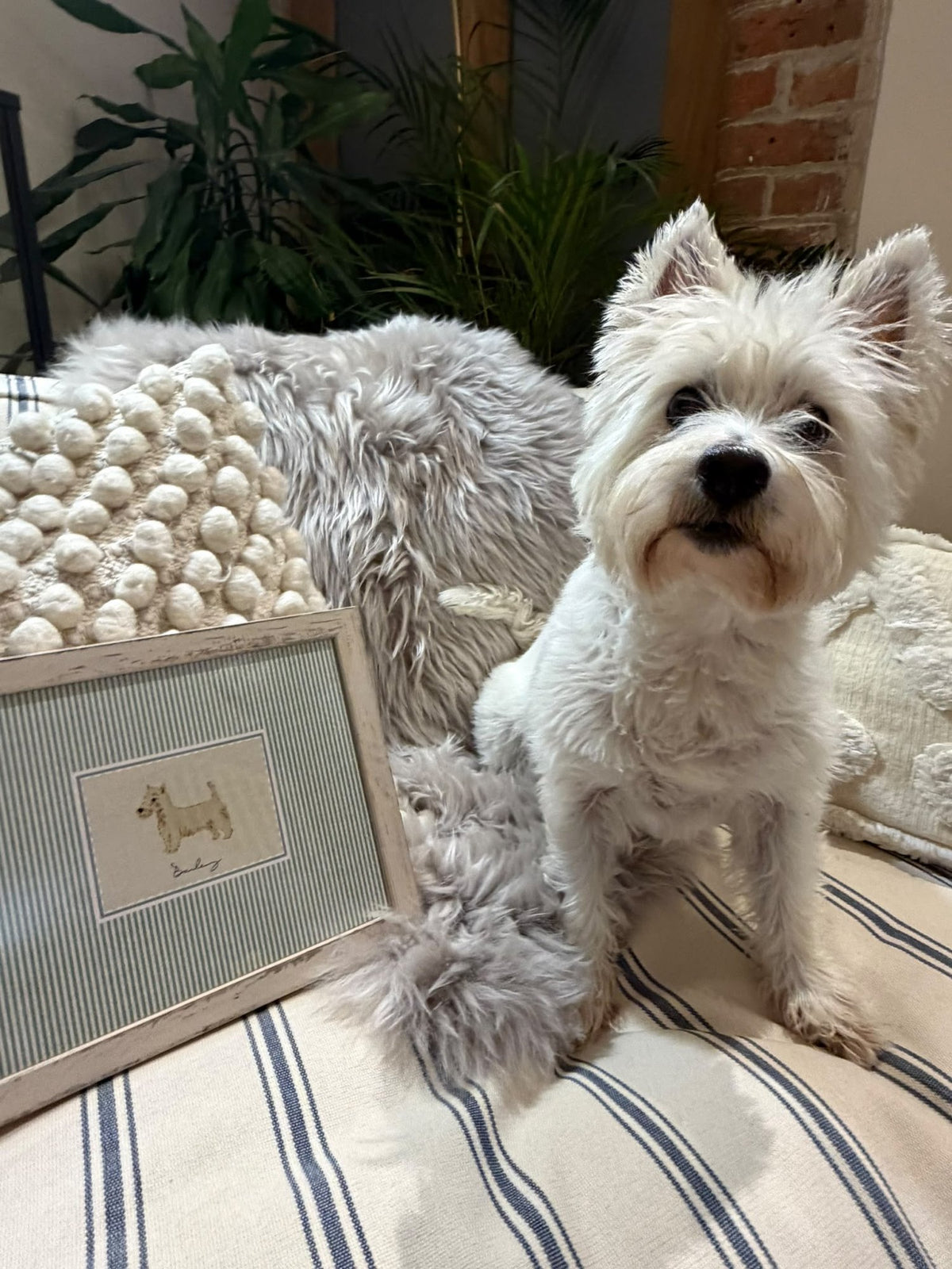 Bailey with their personalised dog print